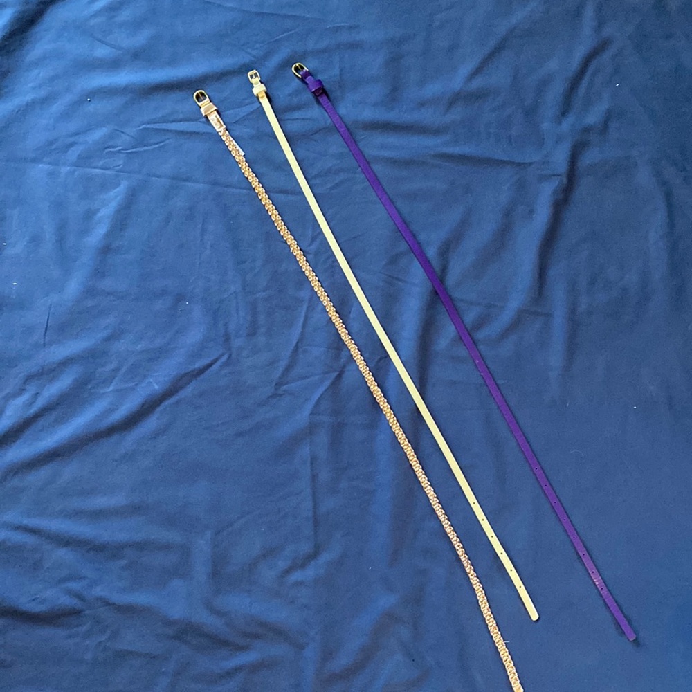 Skinny dress belts